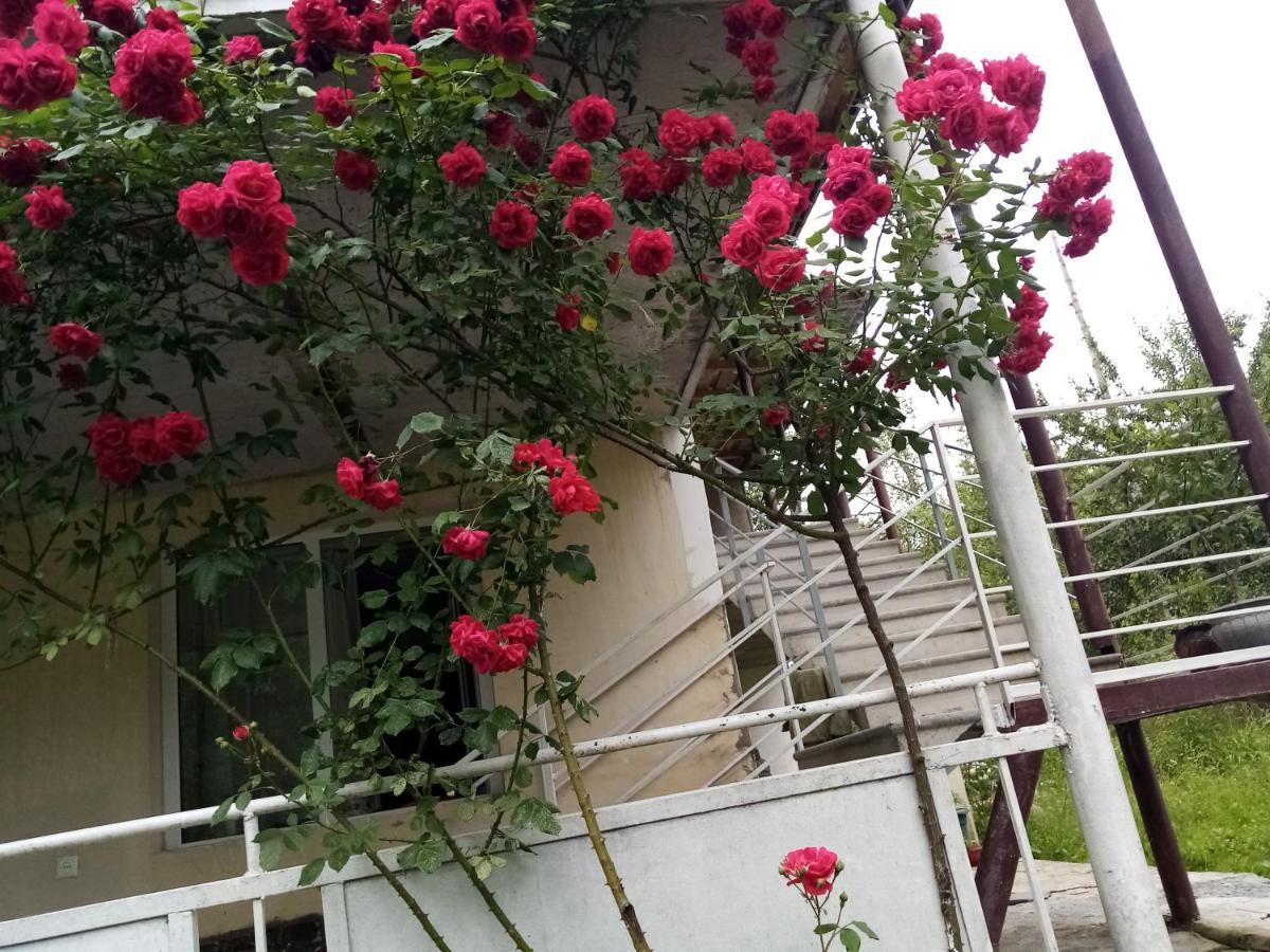 Готель Mti House Kvesheti Екстер'єр фото